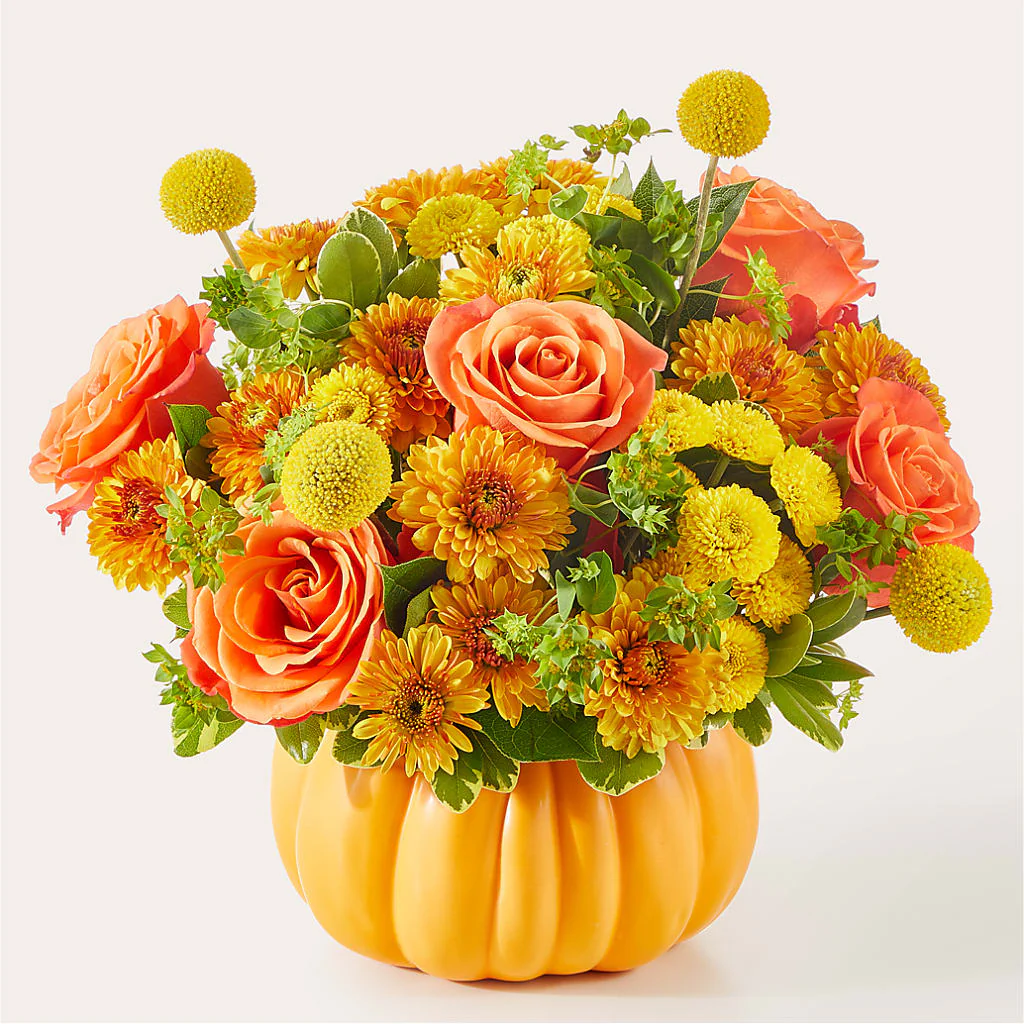 Gourdgeous Pumpkin - Image 2