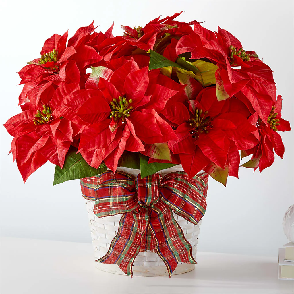 Happiest Holidays Poinsettia - Image 2