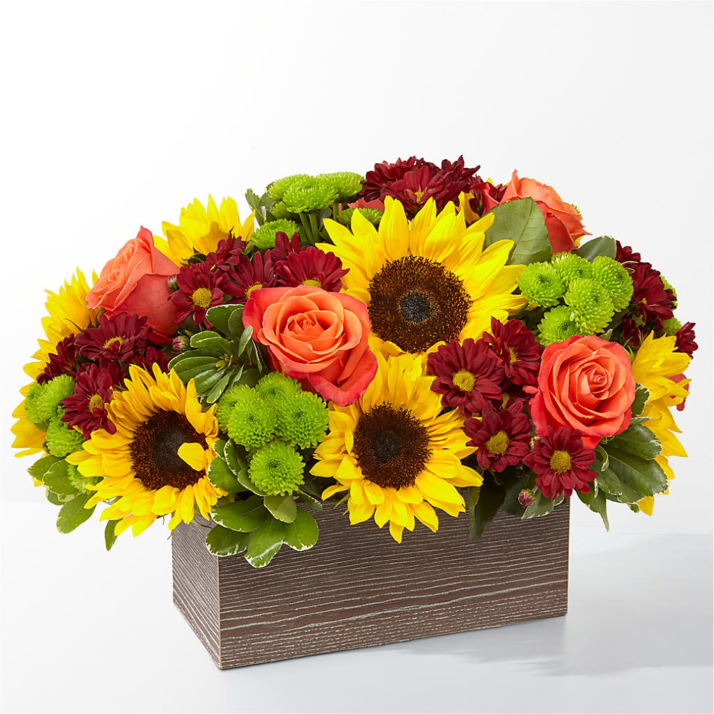 Happy Harvest Garden - Image 3