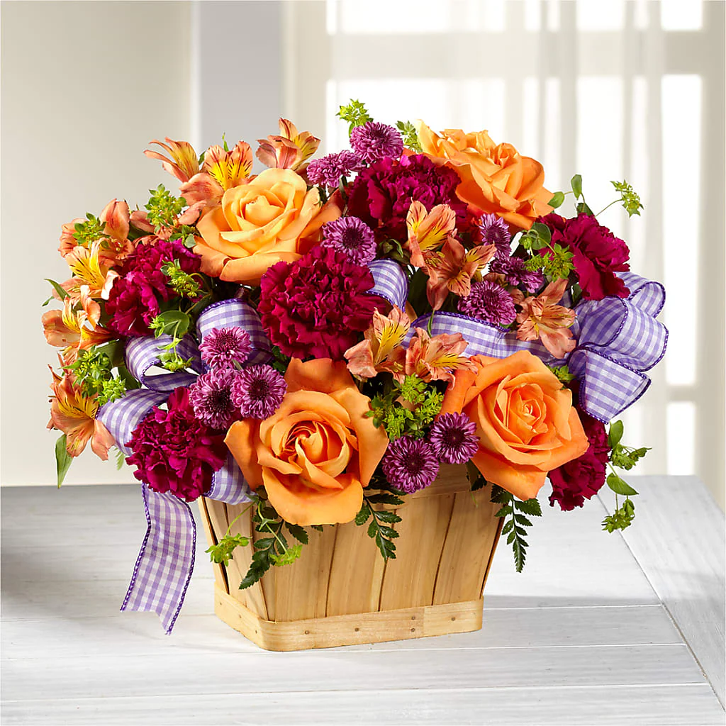 New Dream Basket - Image 3
