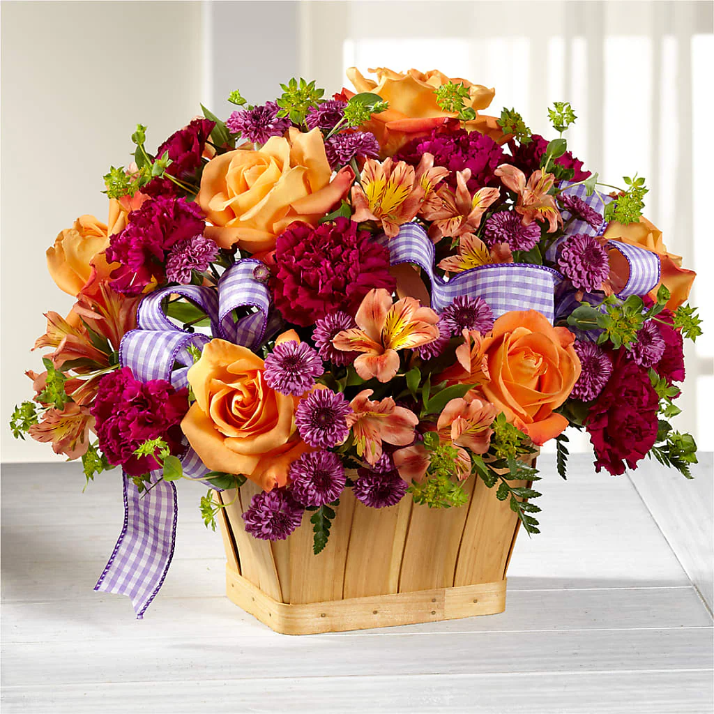 New Dream Basket - Image 4